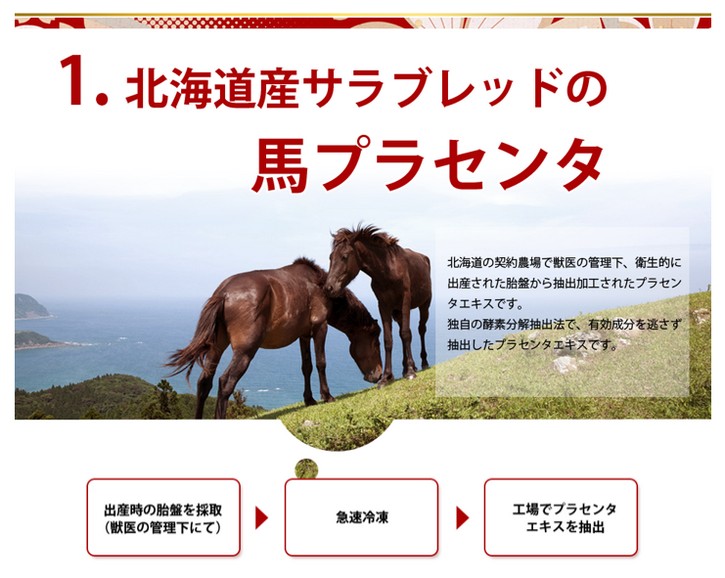つむぎプラセンタ美容液/北海道 サラブレッド馬の胎盤使用！